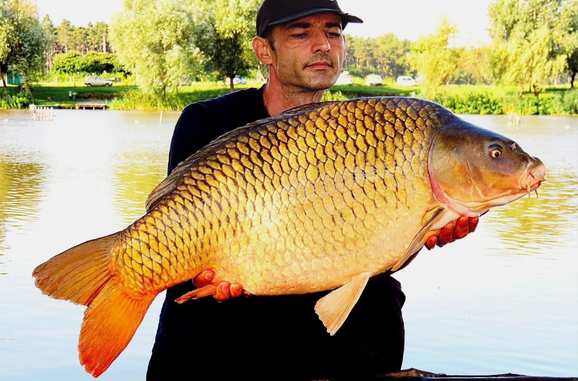 Palici - 004-img6009---1469-kg.jpg